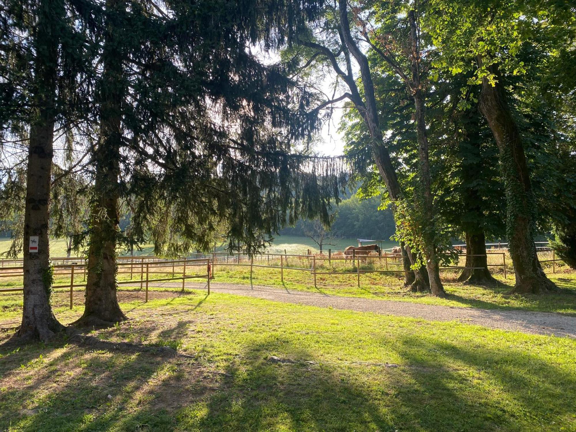 L'Orangerie De Malpas Bed and Breakfast Quingey Buitenkant foto